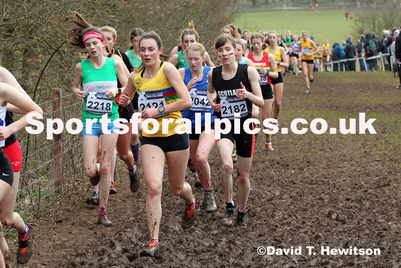 Womens under-17s, 2020 British Athletics Inter Counties Cross Country Champs., Prestwold Hall, Loughborough. Photo: David T. Hewitson/Sports for All Pics